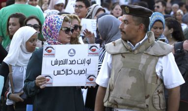 Violence against women in Egypt: prospects for improving police response