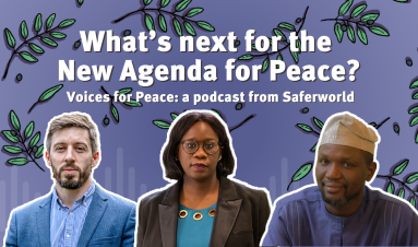 Voices for Peace: What's next for the New Agenda for Peace?