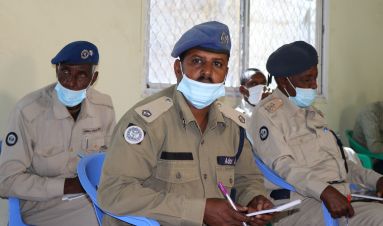 Police Advisory Committees in Somalia