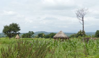 Investments and land in northern Uganda: seven steps for success
